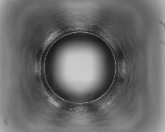 X0000098040578200804071444