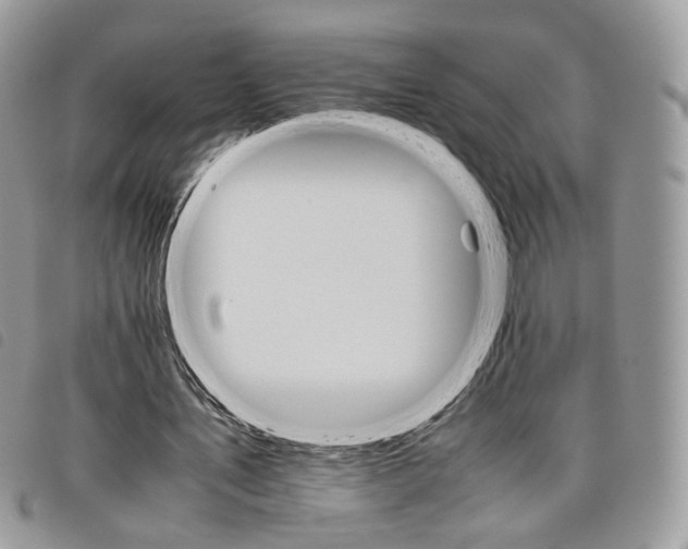 X0000098040579200804071444