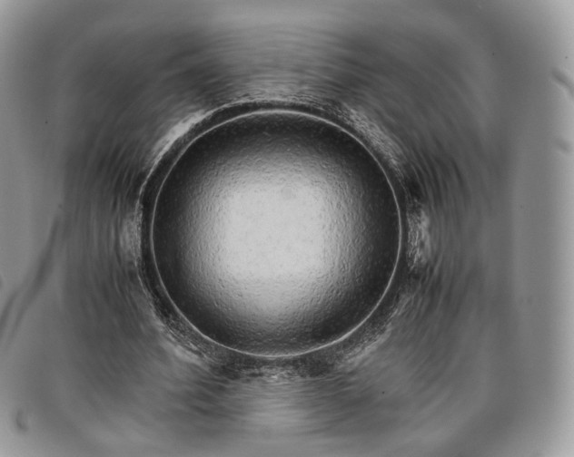 X0000098040580200804071444