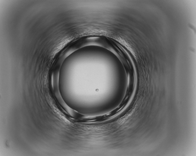 X0000098040581200804071444