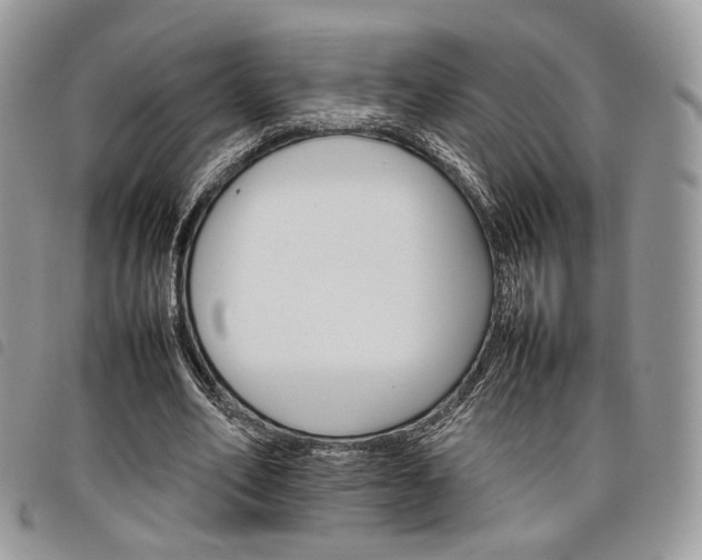 X0000098040582200804071443