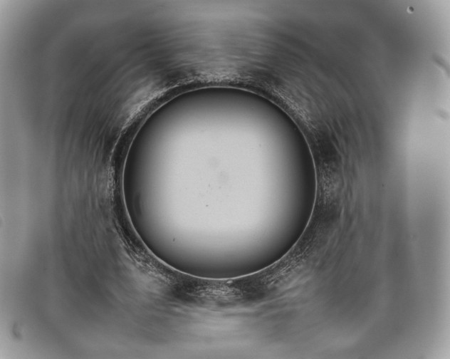 X0000098040583200804071443