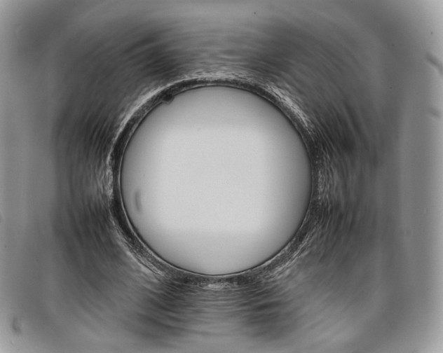 X0000098040584200804071443