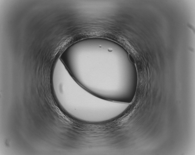 X0000098040585200804071443