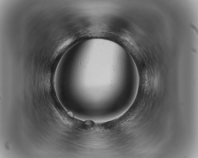 X0000098040586200804071443