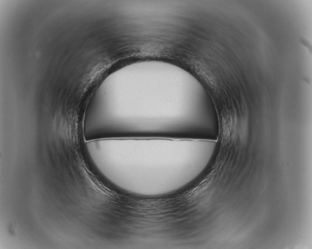 X0000098040588200804071443