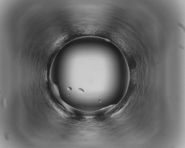 X0000098040589200804071443