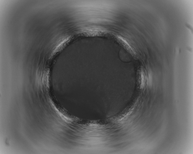 X0000098040590200804071443