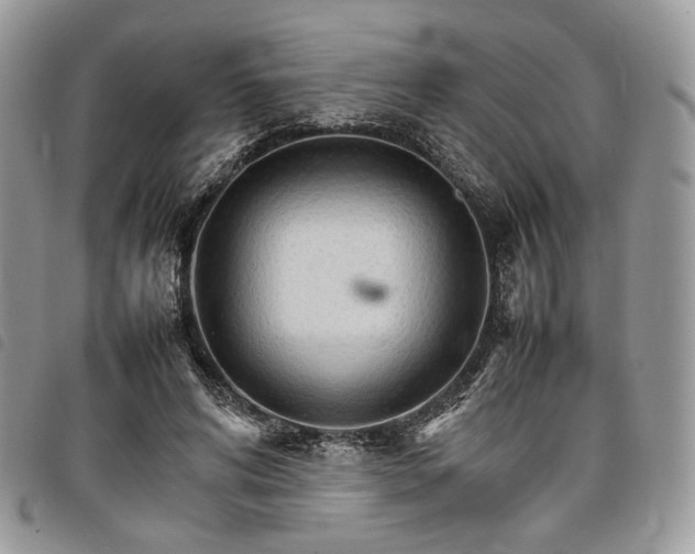 X0000098040592200804071443