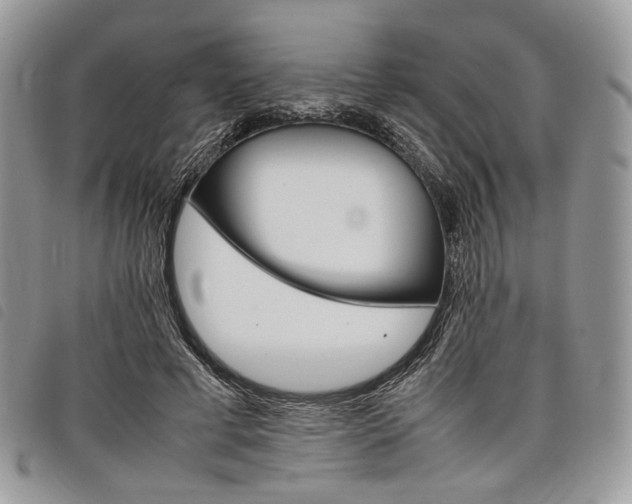 X0000098040593200804071443