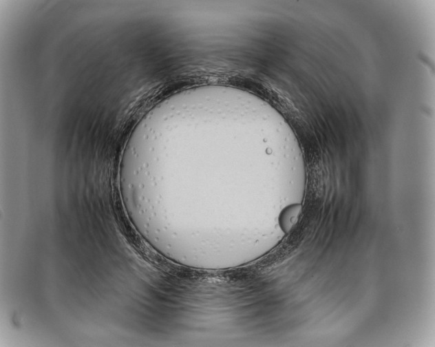 X0000098040594200804071443