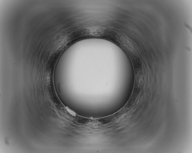 X0000098040595200804071443