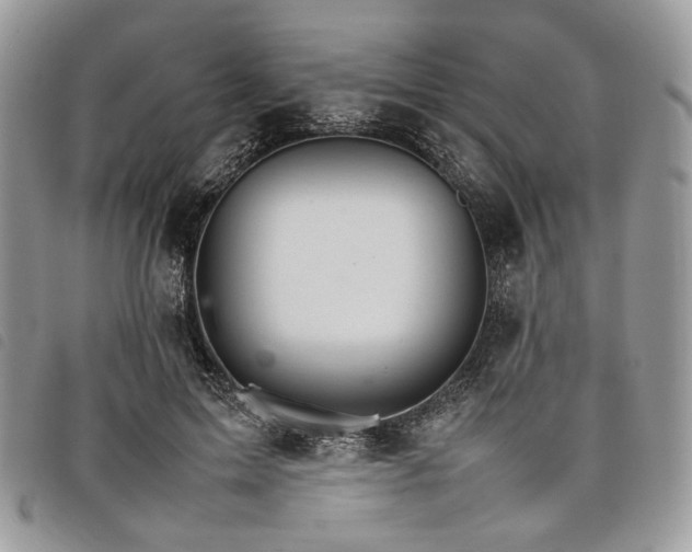 X0000098040599200804071443
