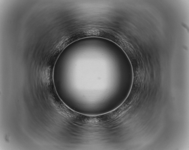 X0000098040600200804071443