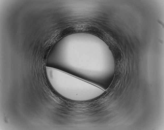 X0000098040601200804071443