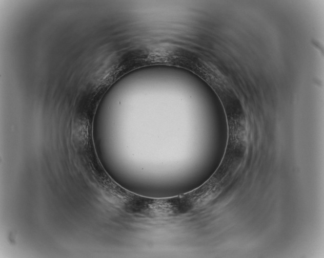 X0000098040603200804071443