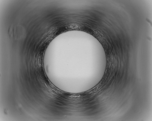 X0000098040606200804071443