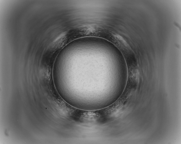 X0000098040607200804071443
