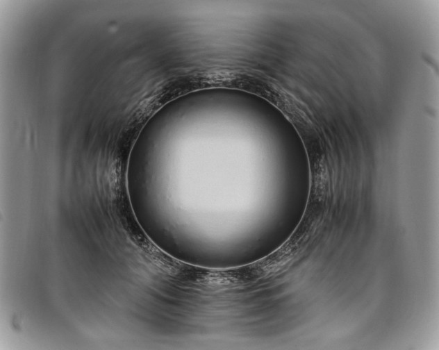 X0000098040608200804071443