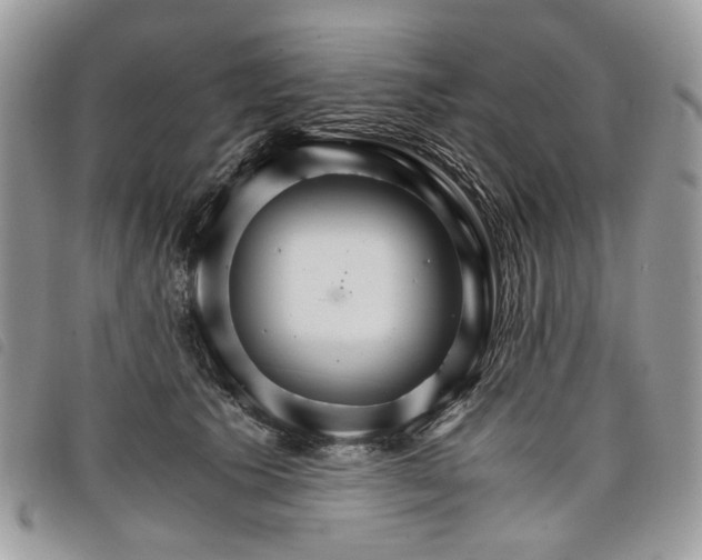 X0000098040609200804071443
