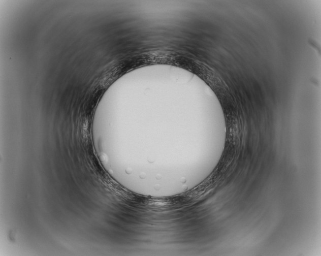 X0000098040610200804071443