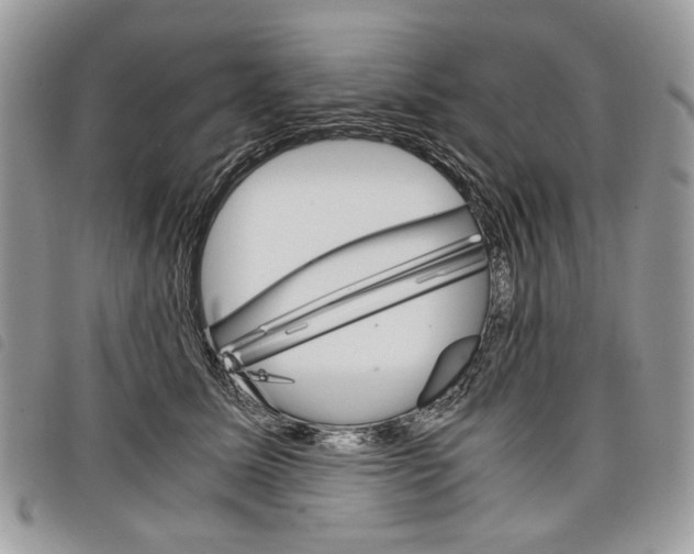 X0000098040611200804071443