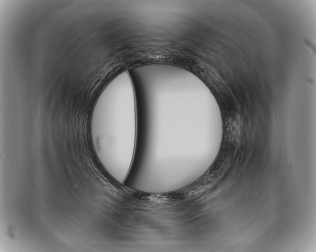 X0000098040612200804071443