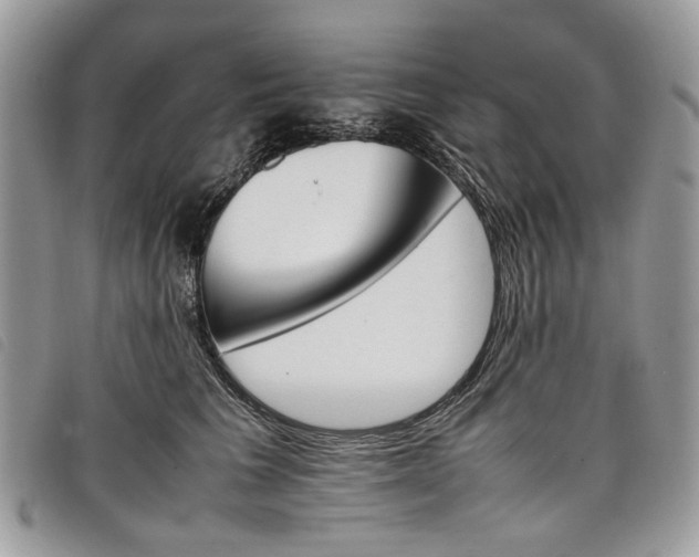 X0000098040613200804071443