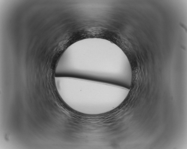 X0000098040615200804071443