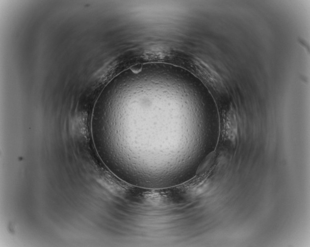 X0000098040616200804071443