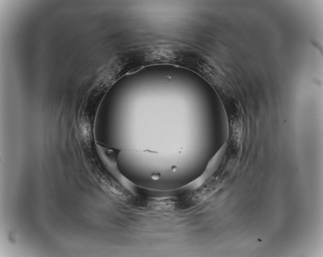 X0000098040617200804071443
