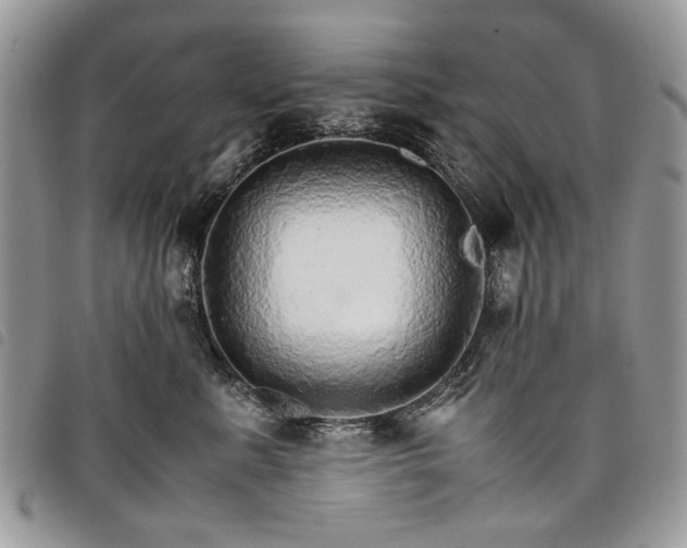 X0000098040619200804071443