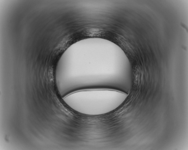 X0000098040620200804071443