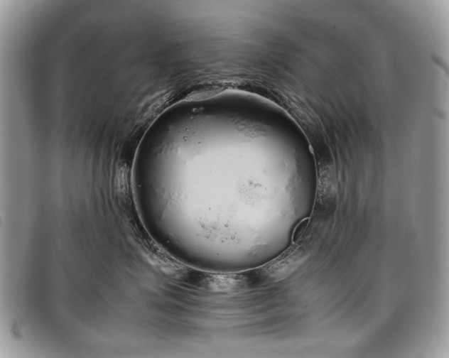 X0000098040623200804071443