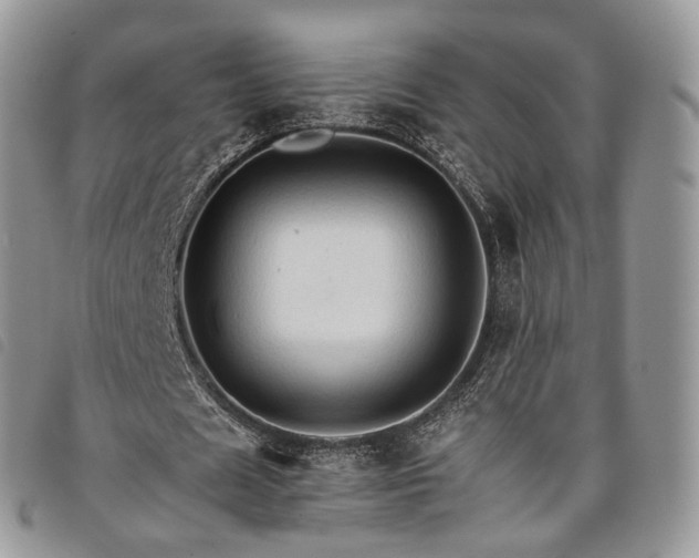 X0000098040625200804071442