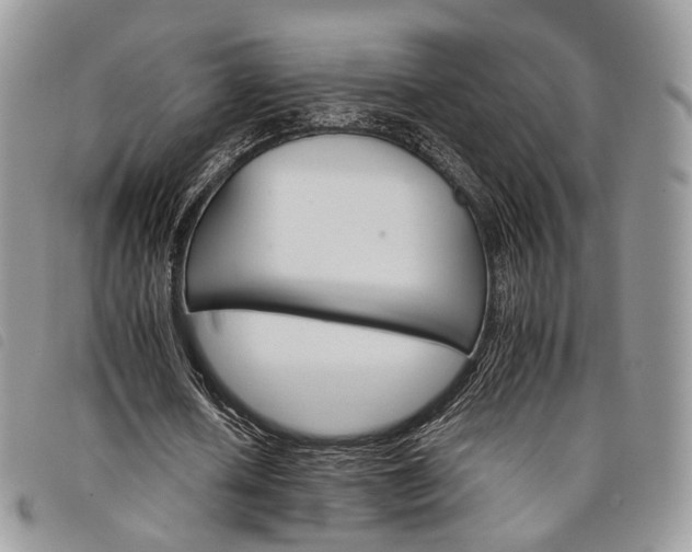 X0000098040626200804071442
