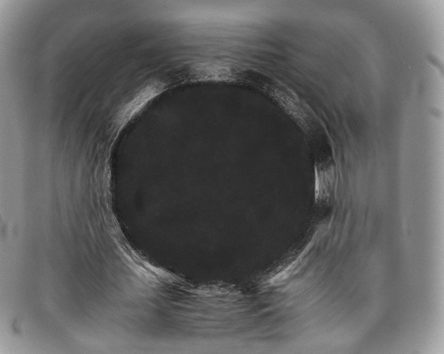 X0000098040627200804071442