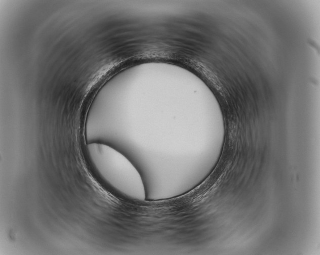 X0000098040629200804071442