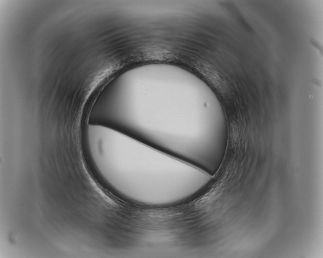 X0000098040630200804071442