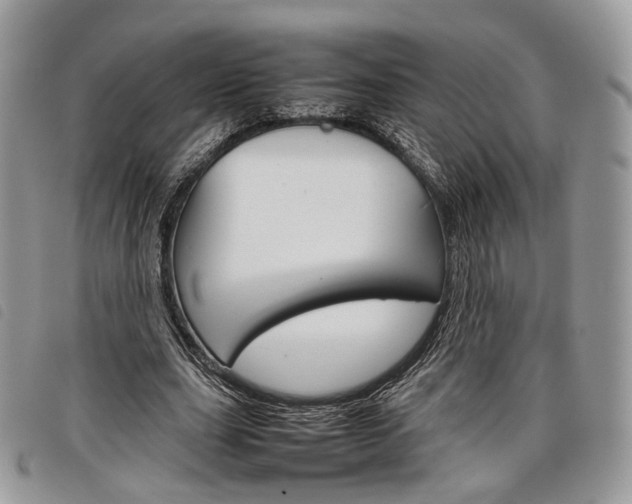 X0000098040631200804071442