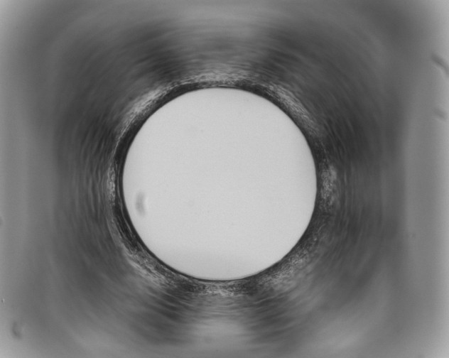 X0000098040632200804071442