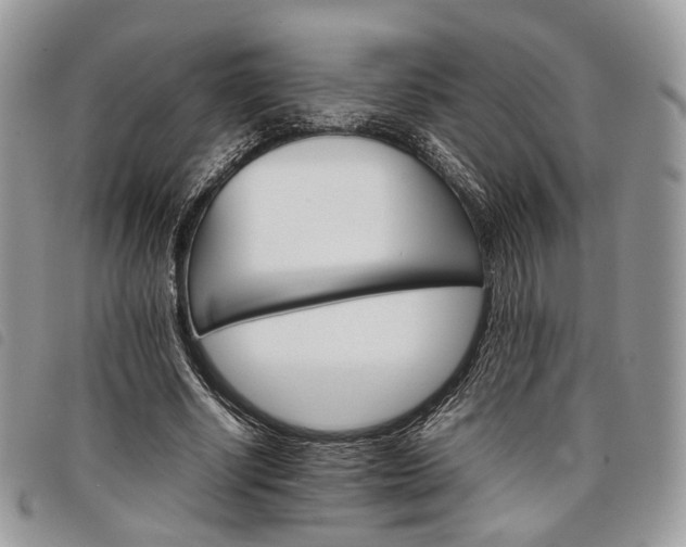 X0000098040634200804071442