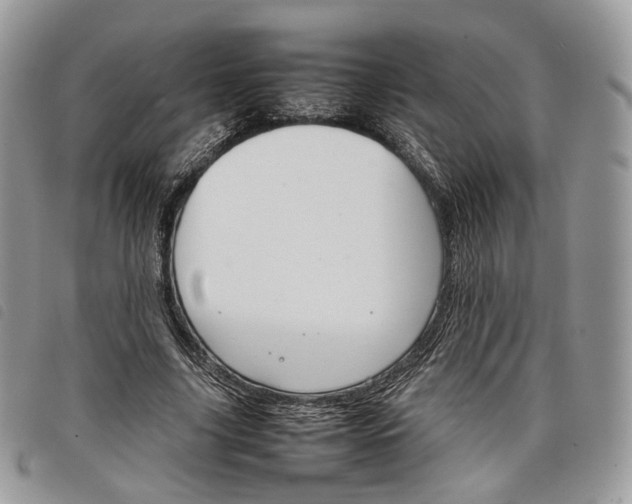 X0000098040635200804071442
