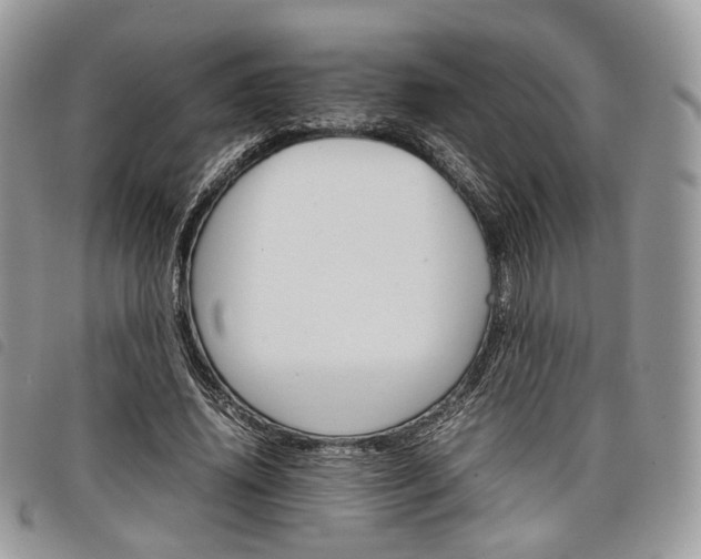 X0000098040636200804071442