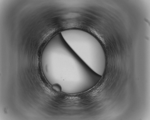 X0000098040637200804071442
