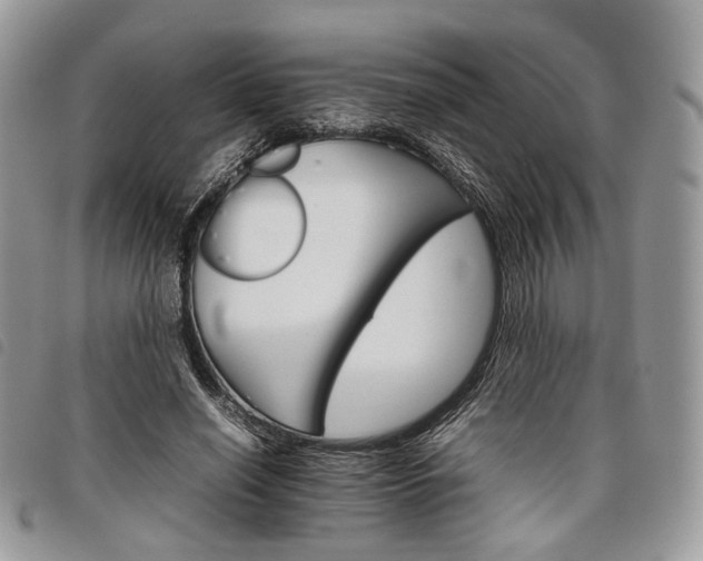X0000098040638200804071442