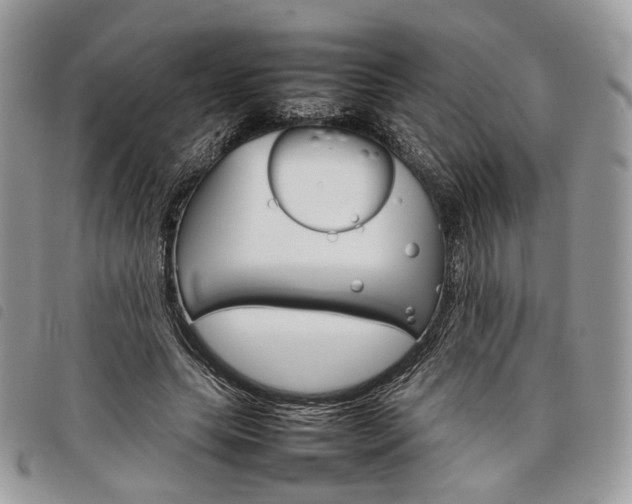 X0000098040639200804071442