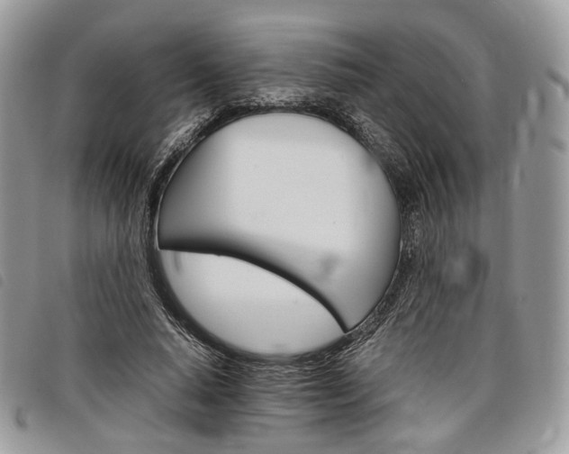 X0000098040640200804071442