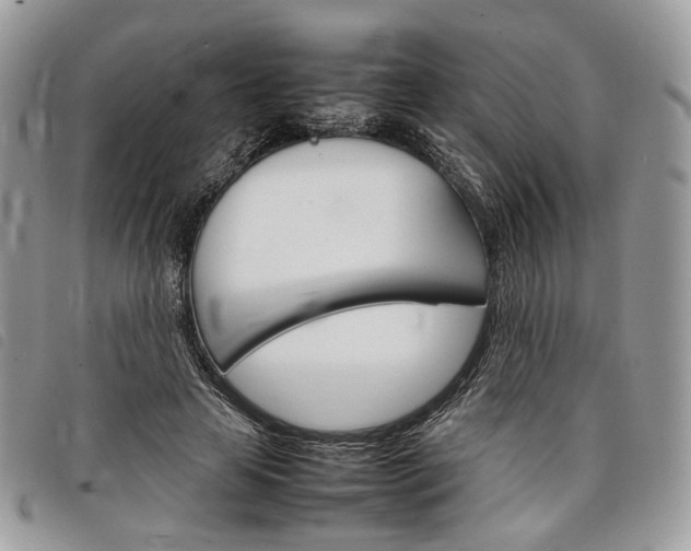 X0000098040641200804071442