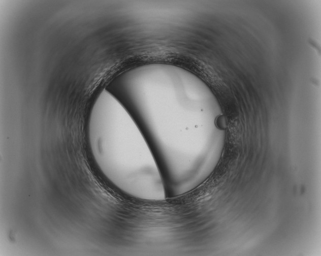 X0000098040642200804071442